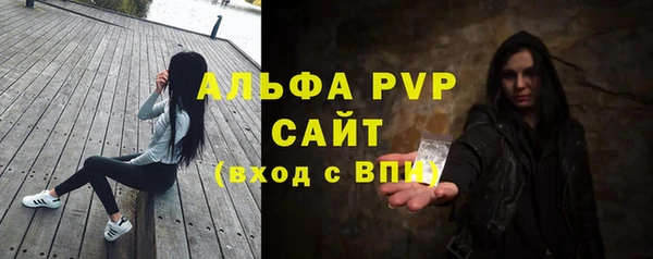 хмурый Абаза