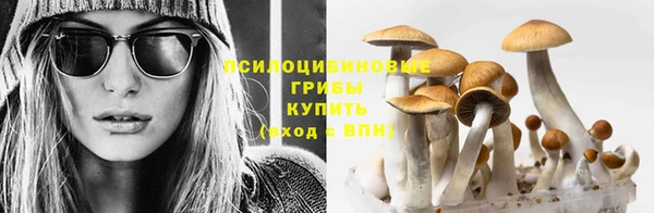 ГАЛЛЮЦИНОГЕННЫЕ ГРИБЫ Абинск