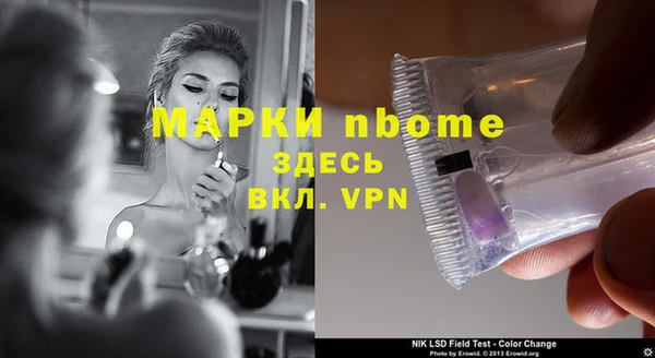 хмурый Абаза