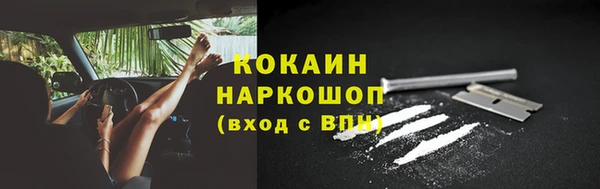 хмурый Абаза