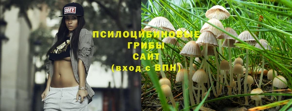 скорость Алзамай