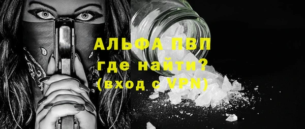 хмурый Абаза